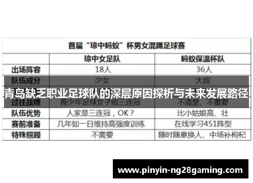 青岛缺乏职业足球队的深层原因探析与未来发展路径
