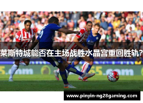莱斯特城能否在主场战胜水晶宫重回胜轨？