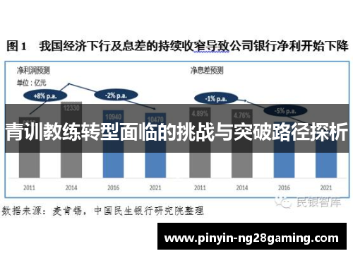 青训教练转型面临的挑战与突破路径探析