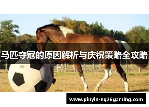 马匹夺冠的原因解析与庆祝策略全攻略 马匹夺冠的原因解析与庆祝策略全攻略