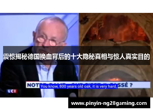 震惊揭秘德国换血背后的十大隐秘真相与惊人真实目的 震惊揭秘德国换血背后的十大隐秘真相与惊人真实目的