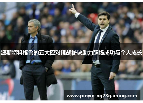 波斯特科格鲁的五大应对挑战秘诀助力职场成功与个人成长