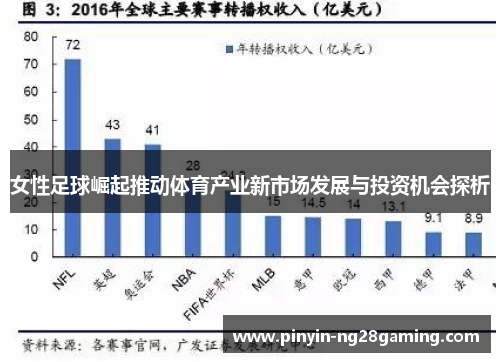 女性足球崛起推动体育产业新市场发展与投资机会探析