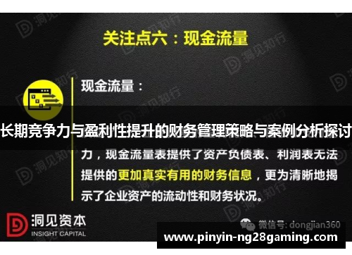 长期竞争力与盈利性提升的财务管理策略与案例分析探讨